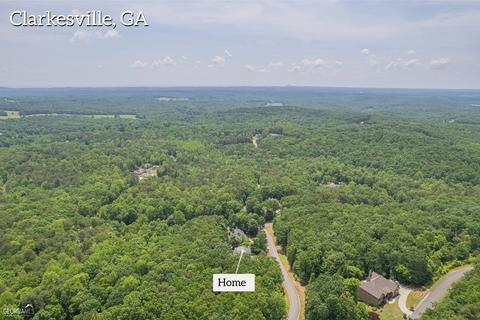 175 Raspberry Ln, Clarkesville, GA 30523 photo 162