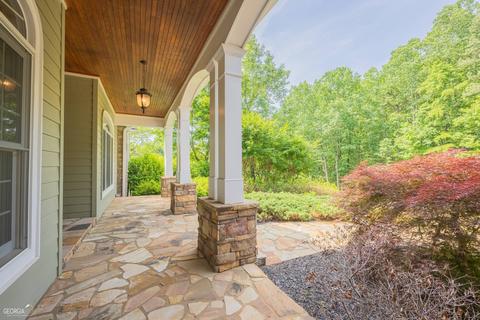 175 Raspberry Ln, Clarkesville, GA 30523 photo 12