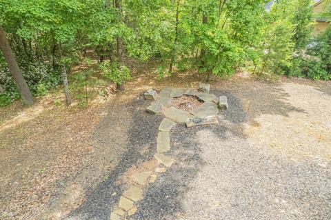 175 Raspberry Ln, Clarkesville, GA 30523 photo 153