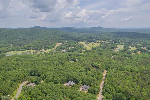 175 Raspberry Ln, Clarkesville, GA 30523 photo 165