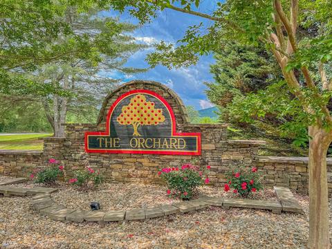 175 Raspberry Ln, Clarkesville, GA 30523 photo 154