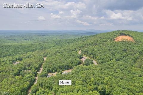175 Raspberry Ln, Clarkesville, GA 30523 photo 160