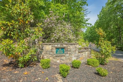 175 Raspberry Ln, Clarkesville, GA 30523 photo 155