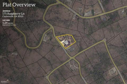 175 Raspberry Ln, Clarkesville, GA 30523 photo 169