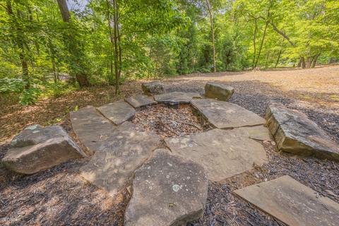 175 Raspberry Ln, Clarkesville, GA 30523 photo 127