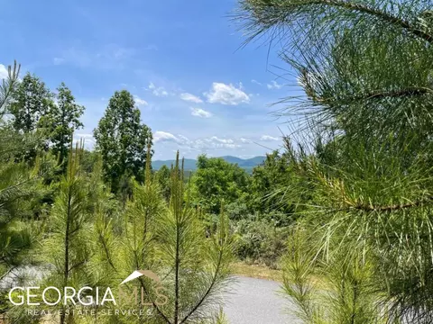 0 Thirteen Hundred #LOT 359, Blairsville, GA 30512