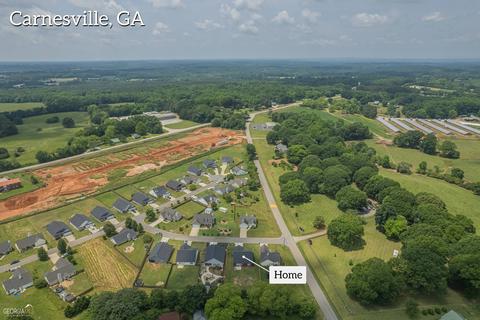 21 Crest View Cir, Carnesville, GA 30521 photo 71