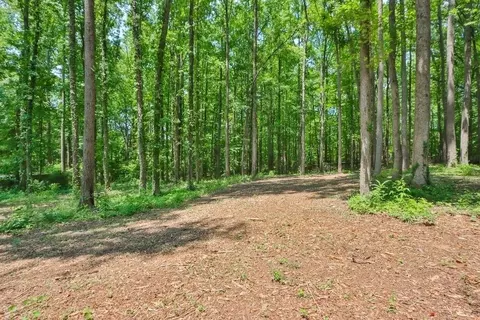 471 Aster Trce, Canton, GA 30115 photo 32