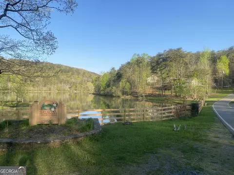 0 Amber, Jasper, GA 30143 photo 50