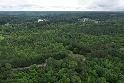 1396 Norris Lake Dr, Snellville, GA 30039