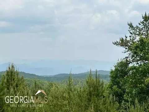 20 Locust Pointe Trl #1A & 1B, Murphy, NC 28906 photo 5