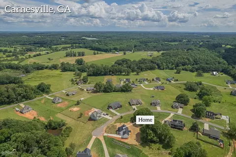 169 River View Dr, Carnesville, GA 30521 photo 60