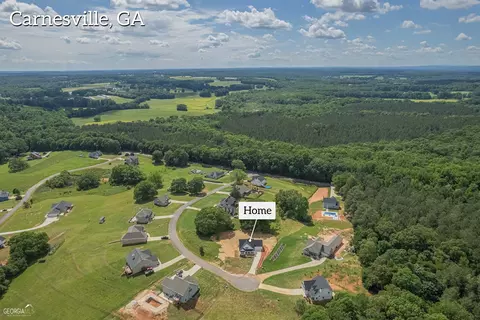 169 River View Dr, Carnesville, GA 30521 photo 58