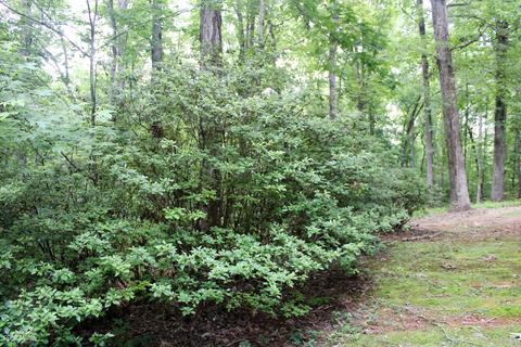 123 Red Oak Trl, Lagrange, GA 30240 photo 138