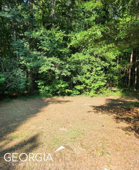 901 Pyne Rd, Lagrange, GA 30240 photo 11