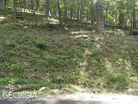 M213 Walnut Ridge #M213, Ellijay, GA 30540