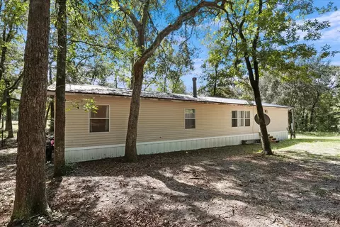1236 Hammock Dr, Blackshear, GA 31516 photo 24