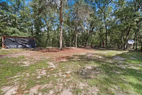 1236 Hammock Dr, Blackshear, GA 31516 photo 25