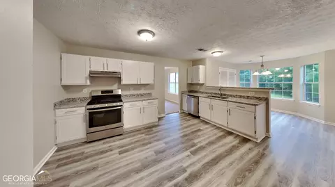 11032 Pebble Ridge Dr, Hampton, GA 30228 photo 4