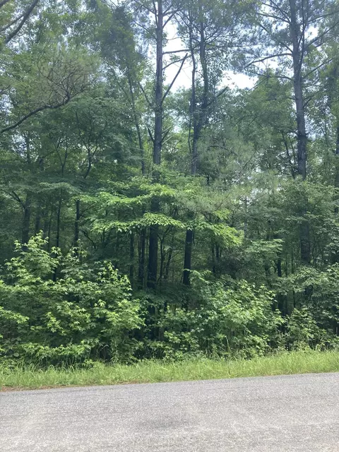 0 County Road 2, Equality, AL 36026 photo 3