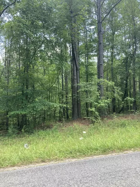 0 County Road 2, Equality, AL 36026 photo 2