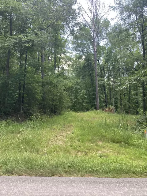 0 County Road 2, Equality, AL 36026 photo 1