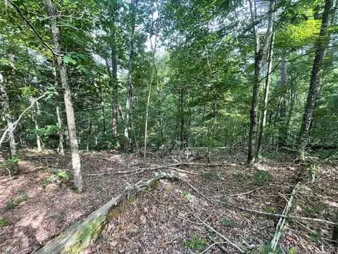 88 Muslin Dr NE, Ranger, GA 30734