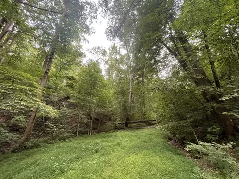 1233 Crown Ct, Ranger, GA 30734