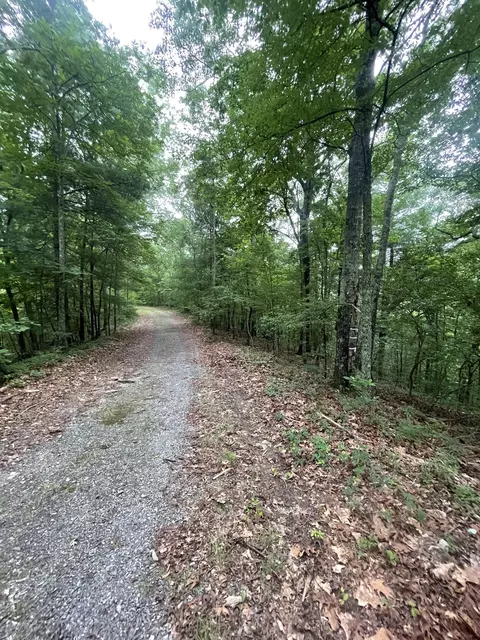 493 Naomi Ct, Ranger, GA 30734