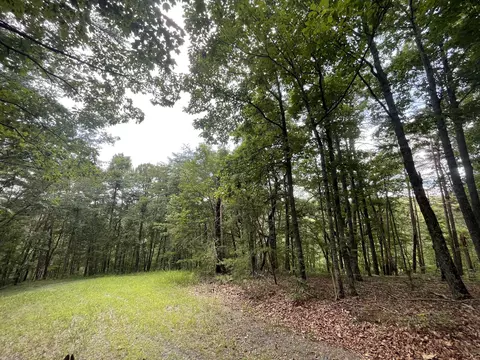 1510 Drew Ct, Ranger, GA 30734