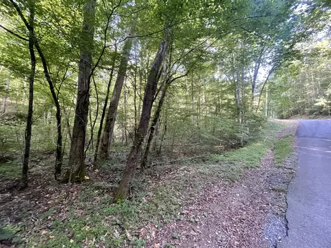 730 Nettle Ln, Ranger, GA 30734