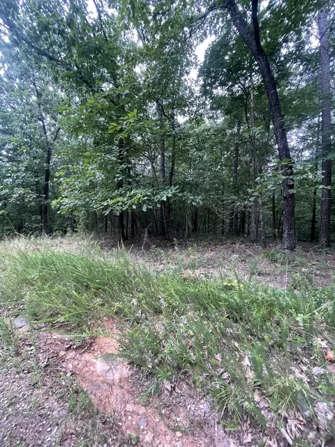 403 Jester Ct, Ranger, GA 30734 photo 2