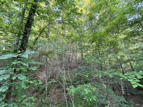 733 Nettle Ln, Ranger, GA 30734