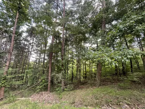 1059 Mayfield Ln NE, Ranger, GA 30734