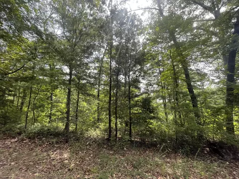 791 Boulder Ct, Ranger, GA 30734 photo 3