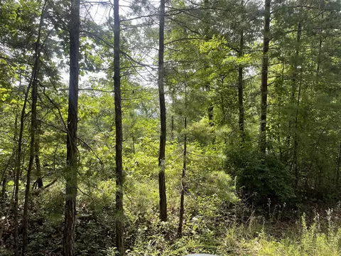 791 Boulder Ct, Ranger, GA 30734 photo 6