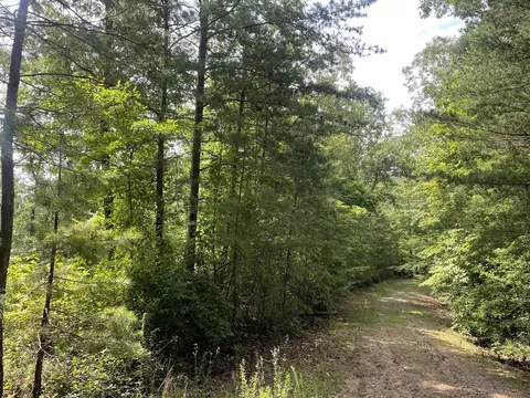 791 Boulder Ct, Ranger, GA 30734 photo 5