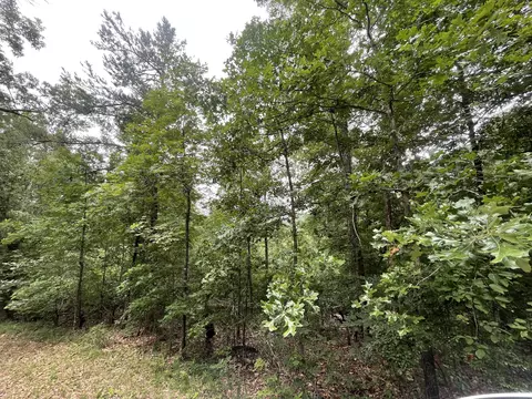 933 Apex Ct, Ranger, GA 30734