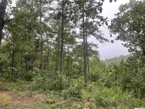 425 Marble Ct, Ranger, GA 30734