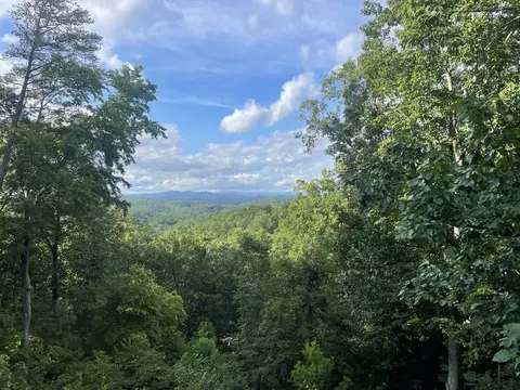 1071 Mayfield Ln NE, Ranger, GA 30734