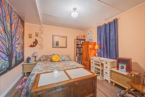 376 Kellogg Dr, Colbert, GA 30628 photo 45