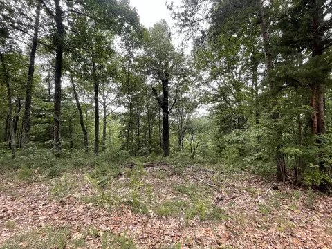 1401 Foxhound Trl NE, Ranger, GA 30734