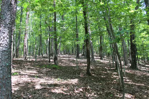 0 Denny Ridge Rd #4568, Jasper, GA 30143