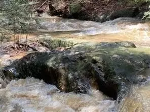 9306 Redbud Pass, Big Canoe, GA 30143