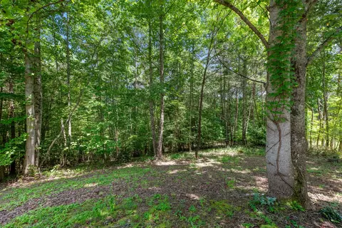 195 Ruby Ln, Mineral Bluff, GA 30559 photo 27