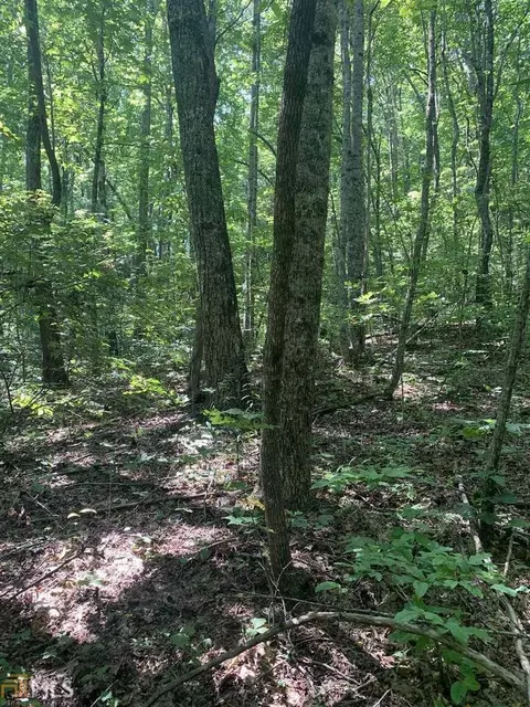 lot67 N N Woods Pt #3, Sky Valley, GA 30537