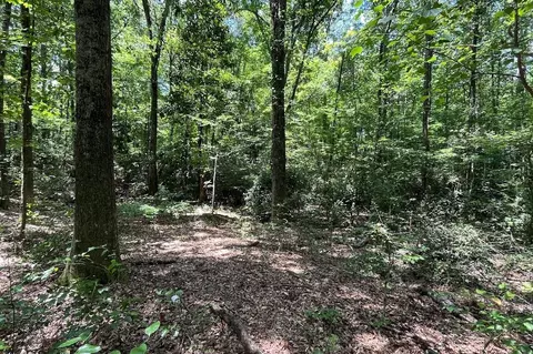 0 Burns Rd, Carrollton, GA 30117