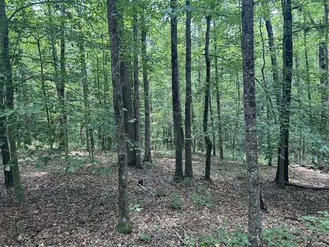 0 Davis Rd #- 28 ACRES, Carrollton, GA 30116