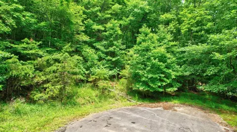 L677 S Satsuma Court, Ellijay, GA 30540