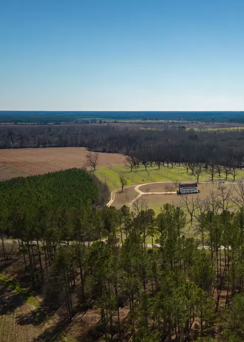 3492 Lower Shellman Rd, Shellman, GA 39886 photo 2